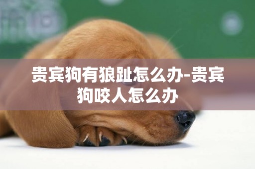 貴賓狗有狼趾怎么辦-貴賓狗咬人怎么辦