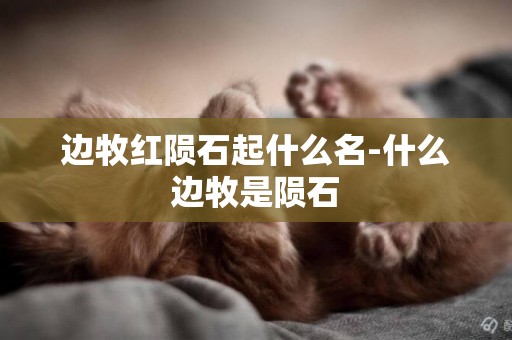邊牧紅隕石起什么名-什么邊牧是隕石