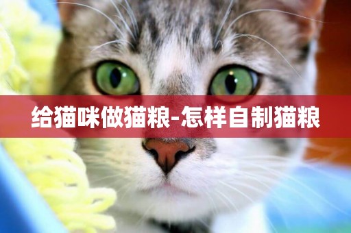 給貓咪做貓糧-怎樣自制貓糧