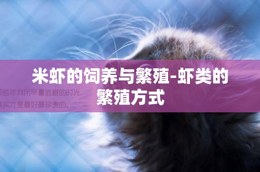 米蝦的飼養與繁殖-蝦類的繁殖方式