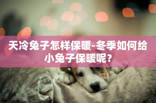 天冷兔子怎樣保暖-冬季如何給小兔子保暖呢？