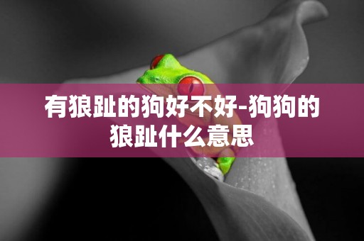 有狼趾的狗好不好-狗狗的狼趾什么意思