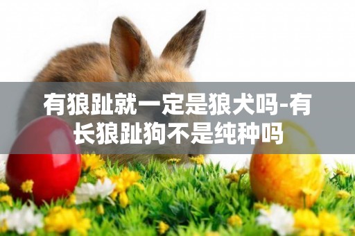 有狼趾就一定是狼犬嗎-有長狼趾狗不是純種嗎