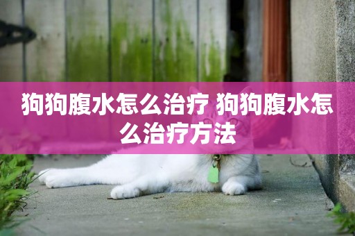 狗狗腹水怎么治療 狗狗腹水怎么治療方法