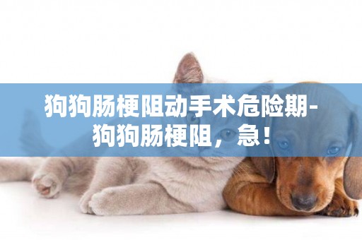 狗狗腸梗阻動手術危險期-狗狗腸梗阻，急！