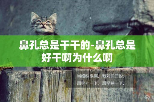 鼻孔總是干干的-鼻孔總是好干啊為什么啊