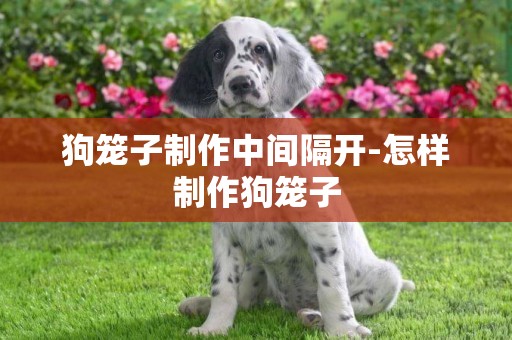狗籠子制作中間隔開-怎樣制作狗籠子