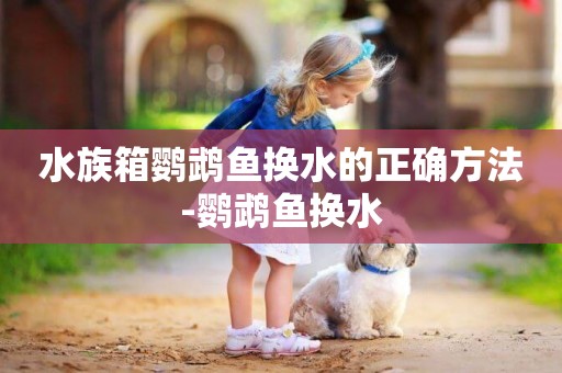 水族箱鸚鵡魚換水的正確方法-鸚鵡魚換水