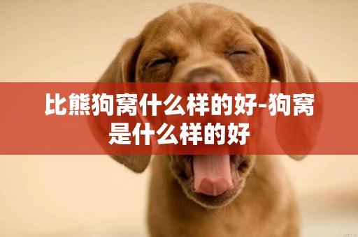比熊狗窩什么樣的好-狗窩是什么樣的好