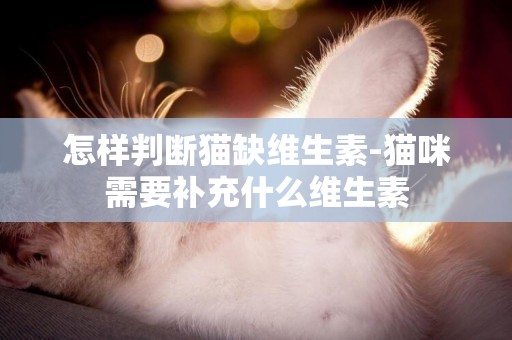 怎樣判斷貓缺維生素-貓咪需要補充什么維生素