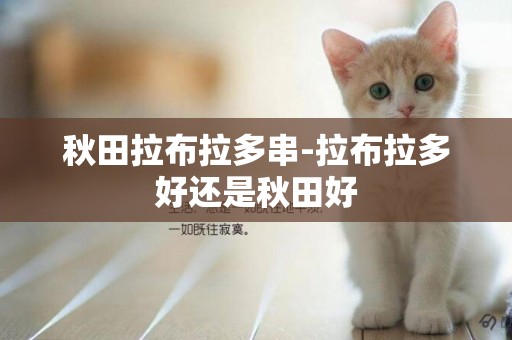 秋田拉布拉多串-拉布拉多好還是秋田好