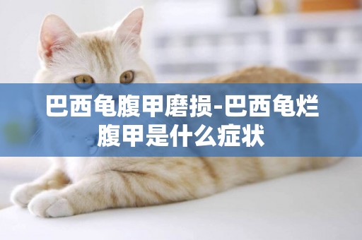 巴西龜腹甲磨損-巴西龜爛腹甲是什么癥狀