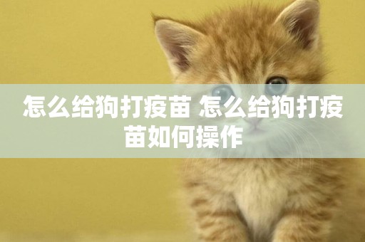 怎么給狗打疫苗 怎么給狗打疫苗如何操作