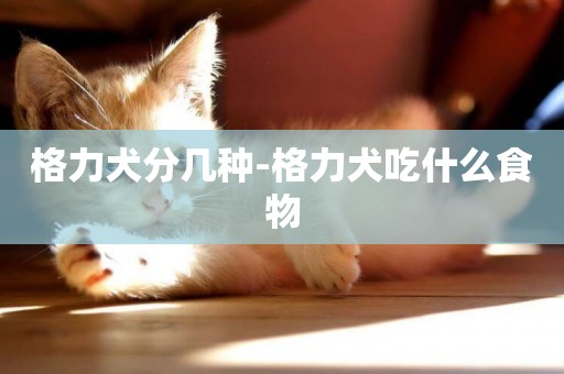 格力犬分幾種-格力犬吃什么食物