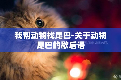 我幫動物找尾巴-關于動物尾巴的歇后語
