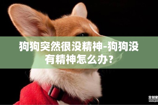 狗狗突然很沒精神-狗狗沒有精神怎么辦？