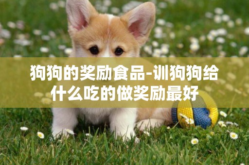 狗狗的獎勵食品-訓狗狗給什么吃的做獎勵最好