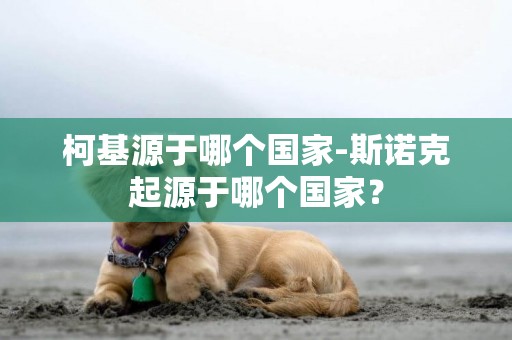 柯基源于哪個國家-斯諾克起源于哪個國家？