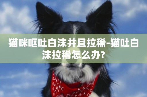 貓咪嘔吐白沫并且拉稀-貓吐白沫拉稀怎么辦?