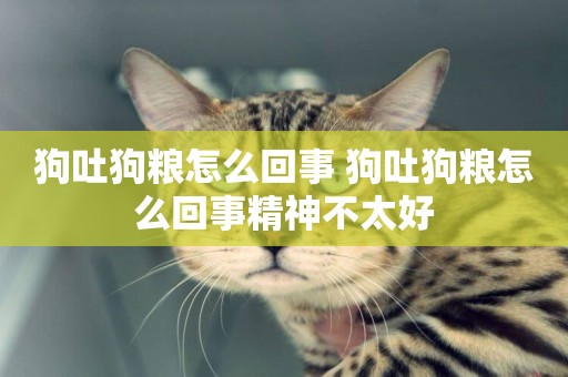 狗吐狗糧怎么回事 狗吐狗糧怎么回事精神不太好