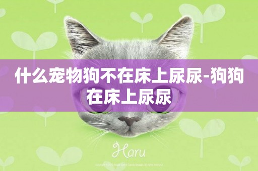 什么寵物狗不在床上尿尿-狗狗在床上尿尿