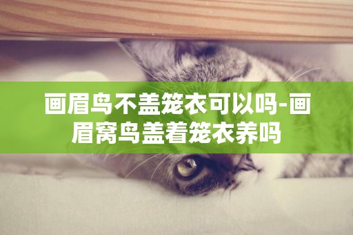 畫眉鳥不蓋籠衣可以嗎-畫眉窩鳥蓋著籠衣養嗎