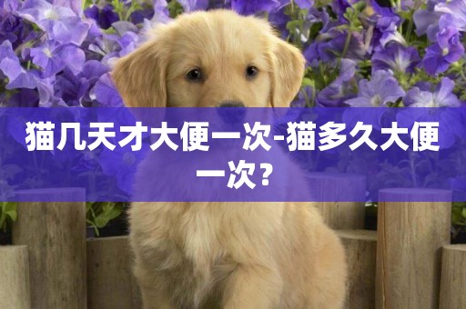 貓幾天才大便一次-貓多久大便一次？