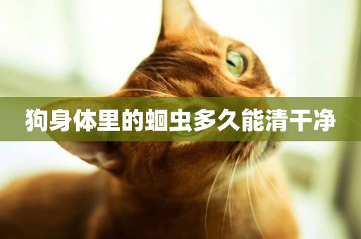 狗身體里的蛔蟲多久能清干凈