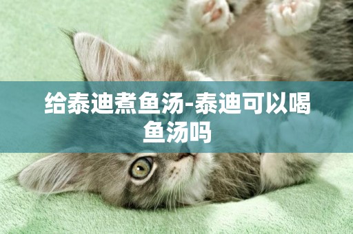 給泰迪煮魚湯-泰迪可以喝魚湯嗎