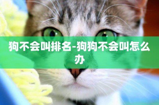 狗不會叫排名-狗狗不會叫怎么辦