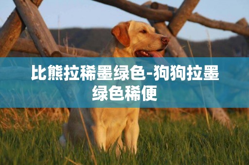 比熊拉稀墨綠色-狗狗拉墨綠色稀便