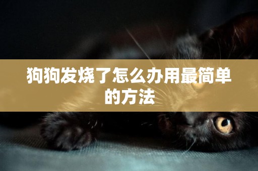 狗狗發燒了怎么辦用最簡單的方法