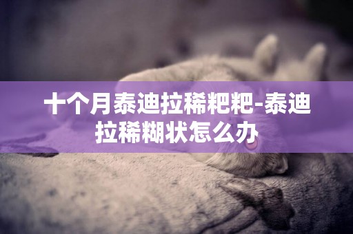 十個月泰迪拉稀粑粑-泰迪拉稀糊狀怎么辦