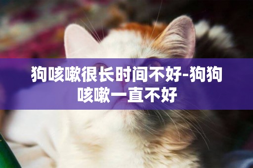 狗咳嗽很長時間不好-狗狗咳嗽一直不好