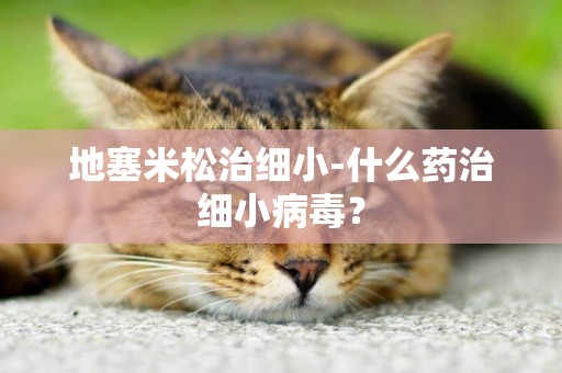 地塞米松治細小-什么藥治細小病毒？