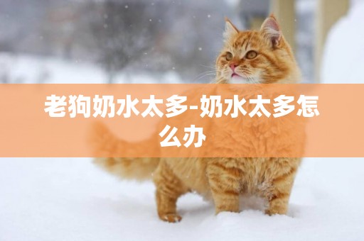 老狗奶水太多-奶水太多怎么辦