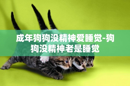 成年狗狗沒精神愛睡覺-狗狗沒精神老是睡覺