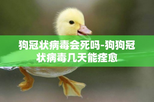 狗冠狀病毒會死嗎-狗狗冠狀病毒幾天能痊愈