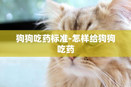 狗狗吃藥標準-怎樣給狗狗吃藥