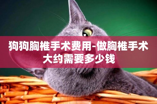 狗狗胸椎手術費用-做胸椎手術大約需要多少錢