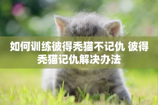 如何訓練彼得禿貓不記仇 彼得禿貓記仇解決辦法