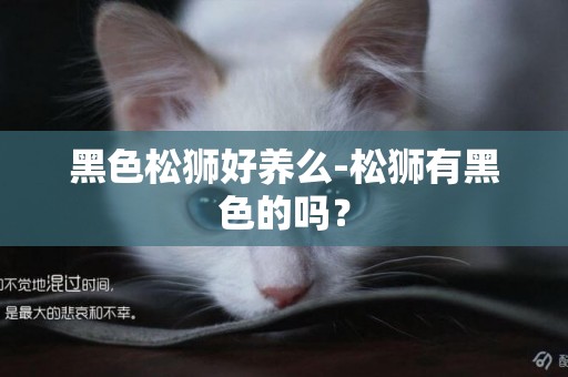 黑色松獅好養么-松獅有黑色的嗎？