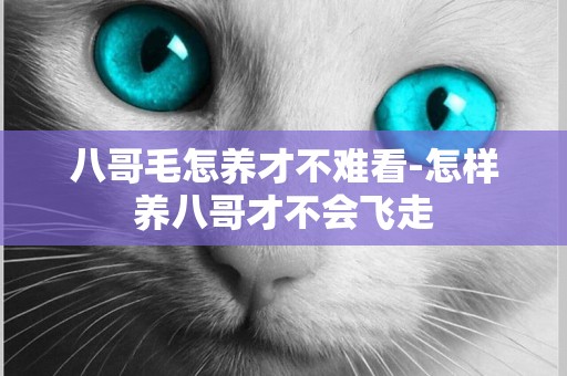 八哥毛怎養才不難看-怎樣養八哥才不會飛走