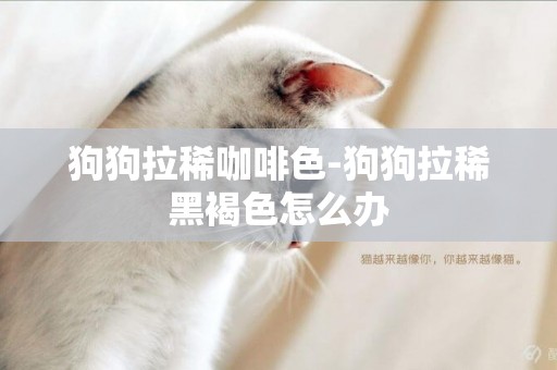 狗狗拉稀咖啡色-狗狗拉稀黑褐色怎么辦