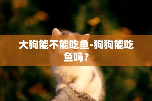 大狗能不能吃魚-狗狗能吃魚嗎？
