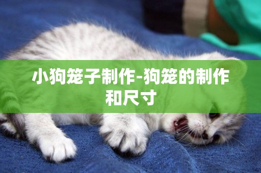 小狗籠子制作-狗籠的制作和尺寸