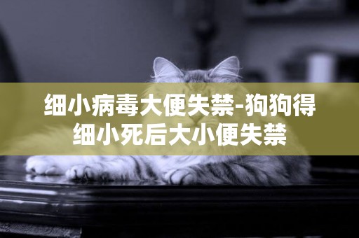 細小病毒大便失禁-狗狗得細小死后大小便失禁