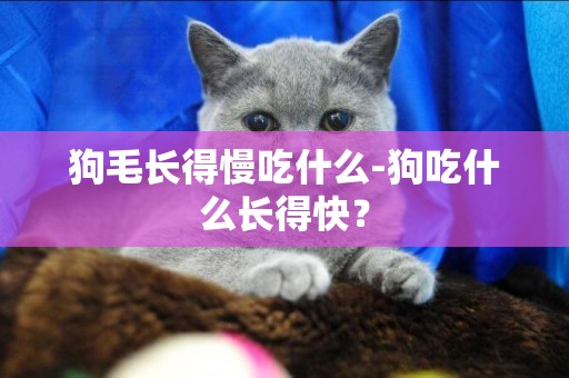 狗毛長得慢吃什么-狗吃什么長得快？
