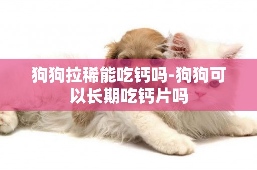 狗狗拉稀能吃鈣嗎-狗狗可以長期吃鈣片嗎