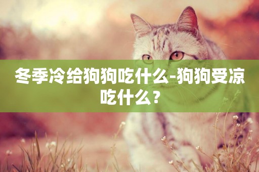冬季冷給狗狗吃什么-狗狗受涼吃什么？